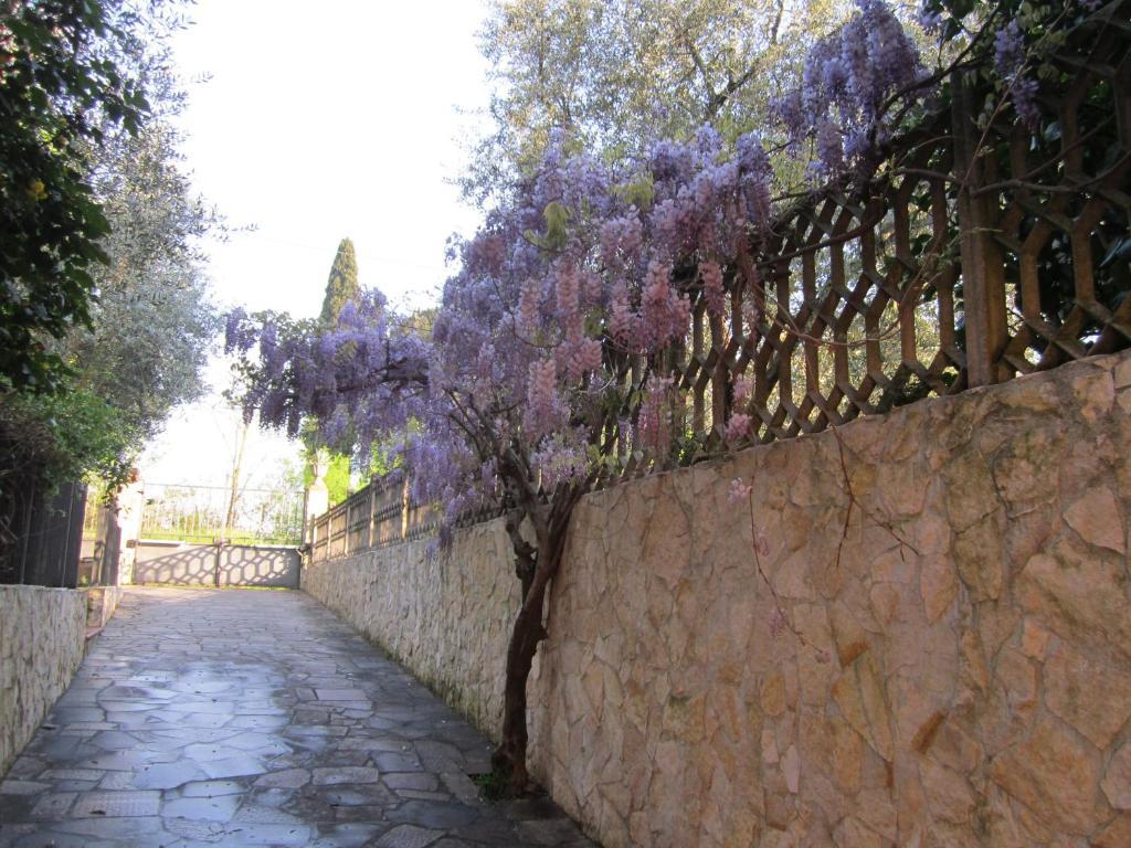 B&B Al Calcandola 萨尔扎纳 外观 照片
